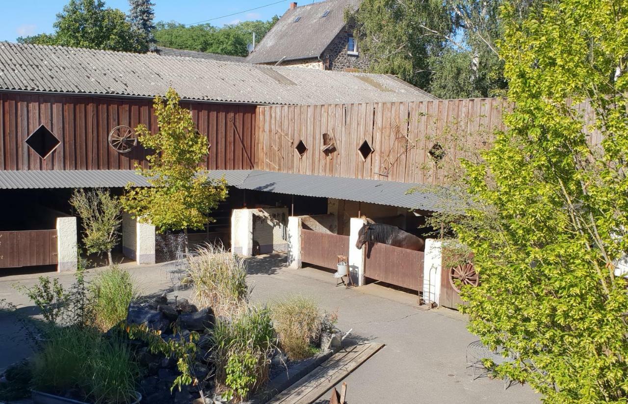 Apartment Traumwohnung Jolly Jumper Auf Idyllischem Reiterhof Naehe Burg Eltz Munstermaifeld